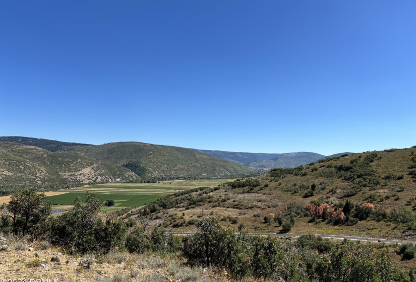 East View of Woodland Paradise overlooki