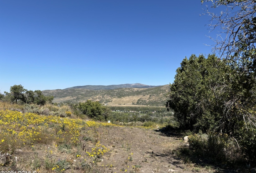 Patrias Bench End of Road 2