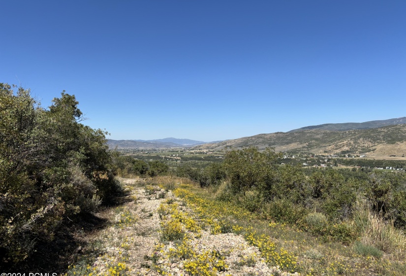 Patrias Bench Driveway