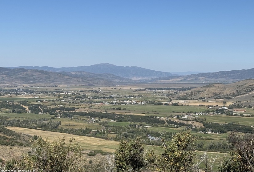 Panoramic Woodland - Francis - Kamas Val