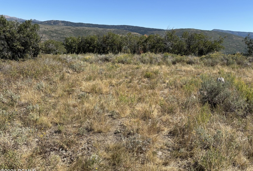 Building Pad at End of Rhoades Road