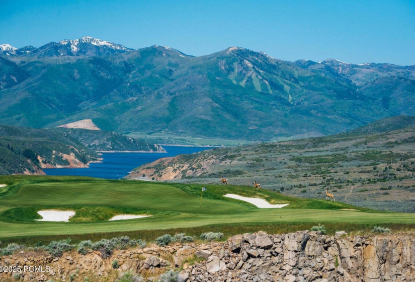 047_victory_ranch_stock_2019_heber_ut_84