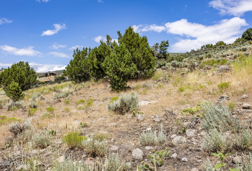 2121 E Flat Top Mountain Drive Lot 727 H