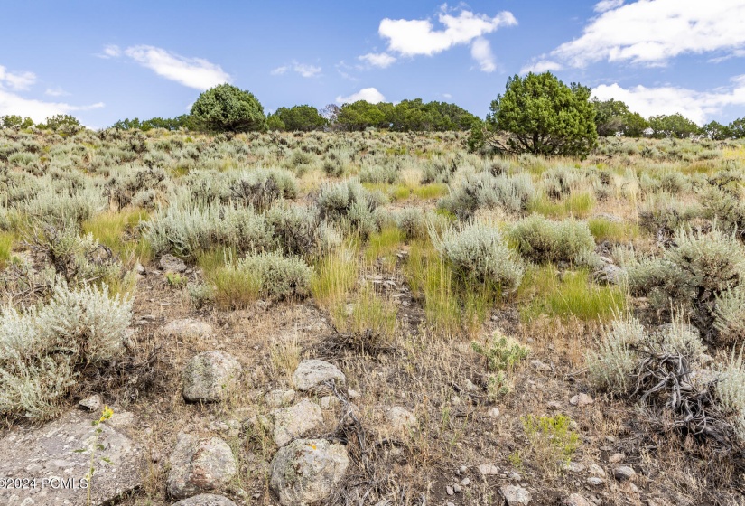 2121 E Flat Top Mountain Drive Lot 727 H