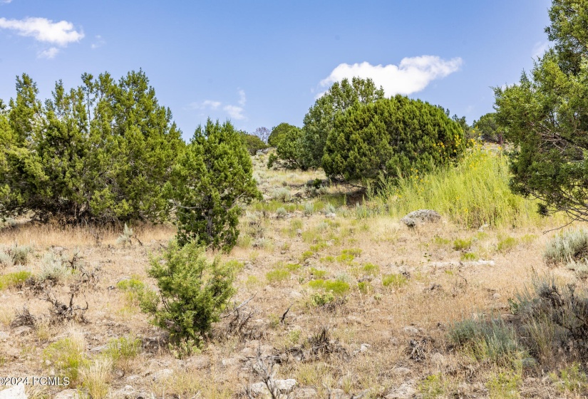 2121 E Flat Top Mountain Drive Lot 727 H