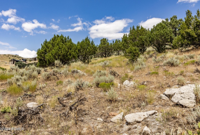 2121 E Flat Top Mountain Drive Lot 727 H