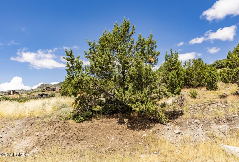 2121 E Flat Top Mountain Drive Lot 727 H