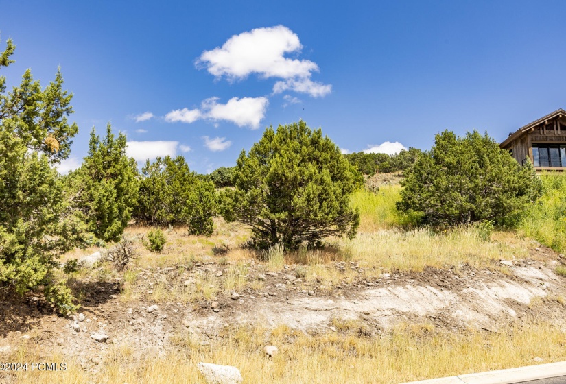 2121 E Flat Top Mountain Drive Lot 727 H