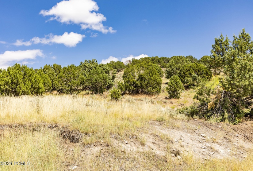 2121 E Flat Top Mountain Drive Lot 727 H