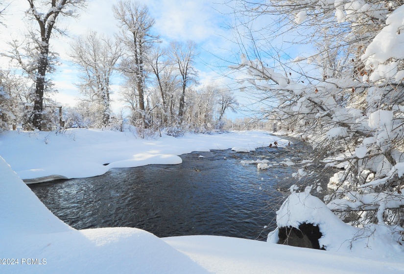 DSC 01 Winter provo river 2