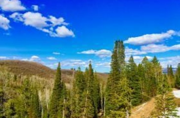 Ss-144 Porcupine Loop, Coalville, Utah 84017, ,Land,For Sale,Porcupine Loop,12404421