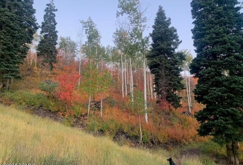 Ski hiking trail