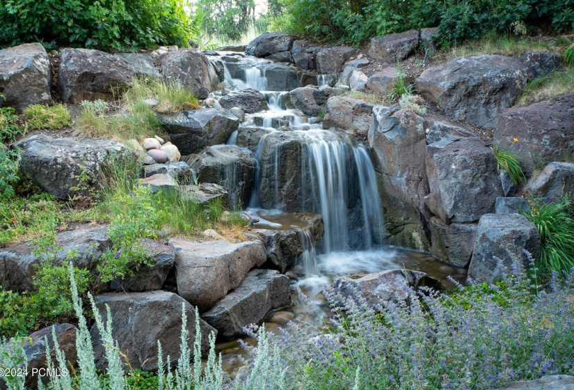 Waterfall in Summer