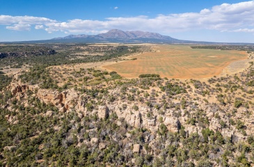 Long Point Road, Monticello, Utah 84535, ,Land,For Sale,Long Point,12404635