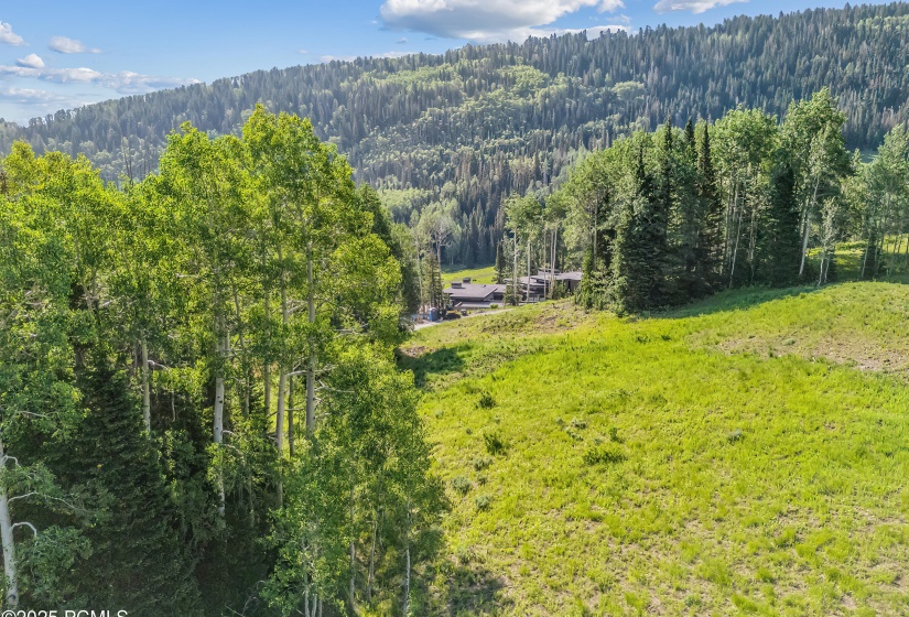 322 White Pne Cyn Rd, Park City_Drone001