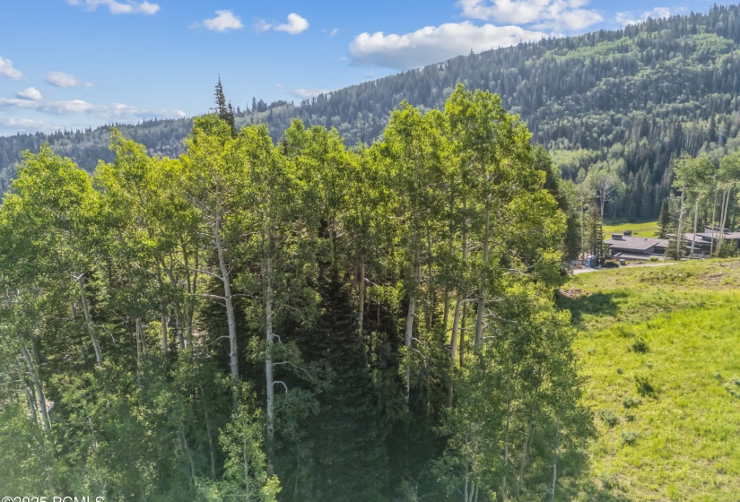 322 White Pne Cyn Rd, Park City_Drone006