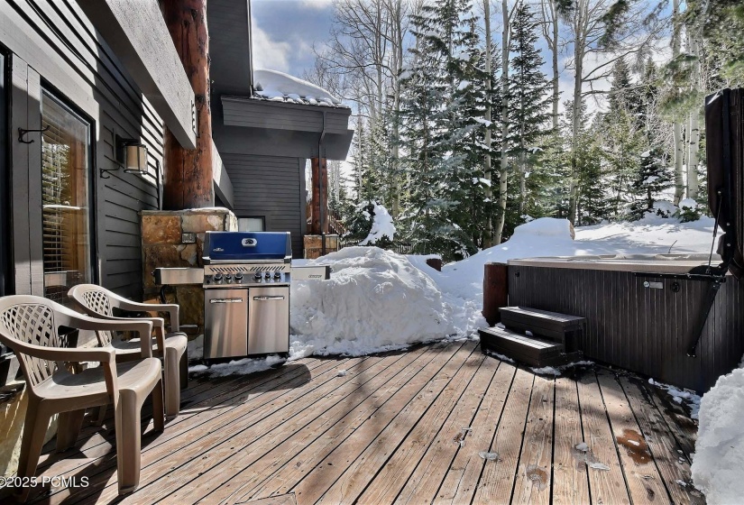 deck and hot tub