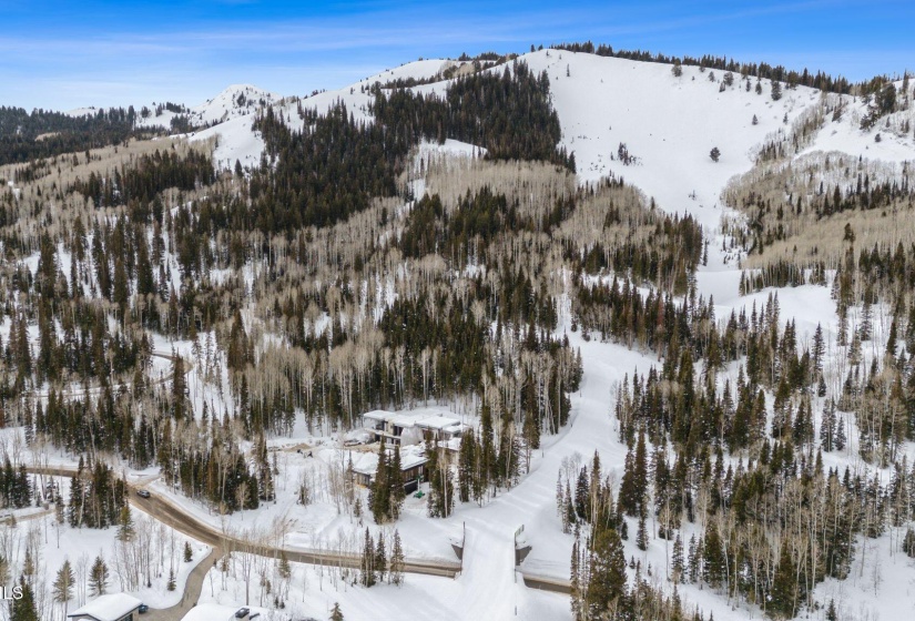 314 White Pne Cyn Rd, Park City_Drone011