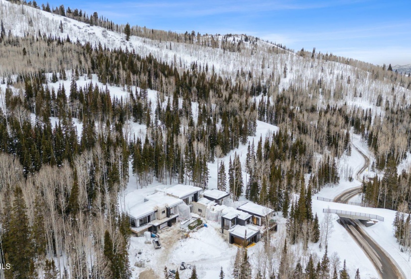 314 White Pne Cyn Rd, Park City_Drone016