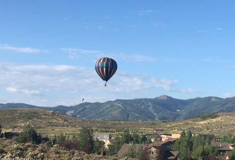 Hot air balloons