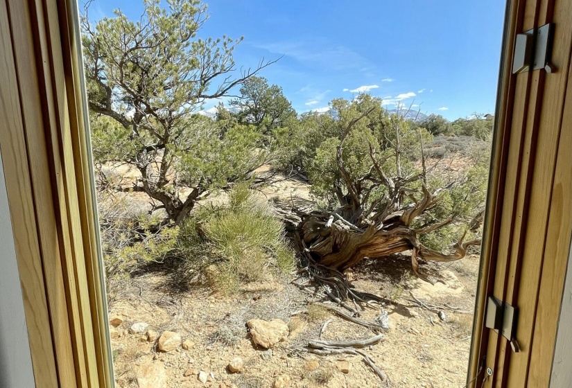 Master Bed View Window