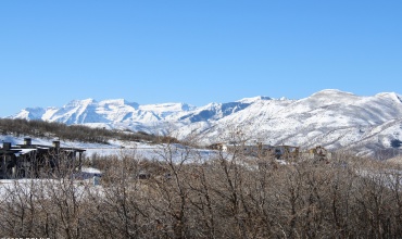 1- Timp Views