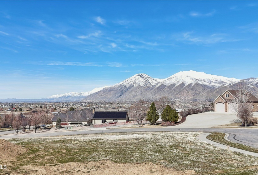 2-web-or-mls-Overlook Ridge Cir-002