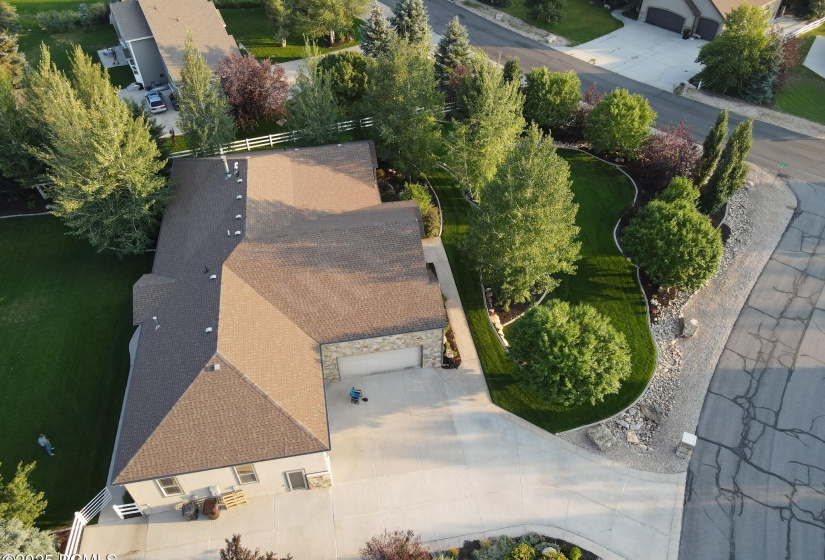 Large Mature Trees Provide Privacy