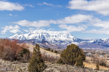 6008 Remuda Run Drive, Heber City, Utah 84032, ,Land,For Sale,Remuda Run,12501294