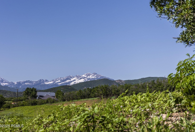 012_12-926supland-12_228