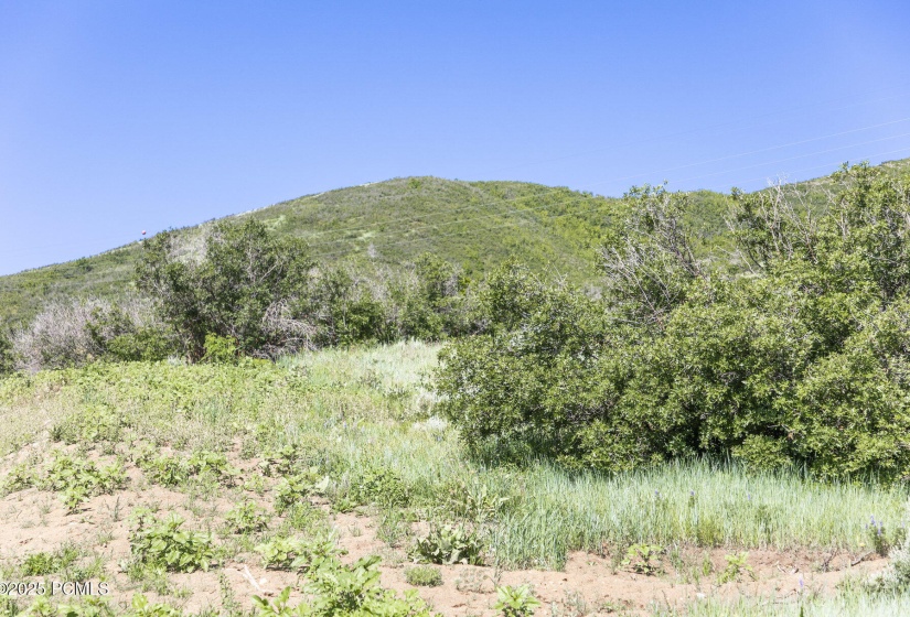018_18-926supland-18_470