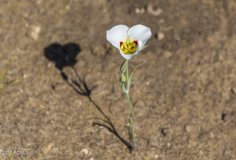 019_19-926supland-19_374