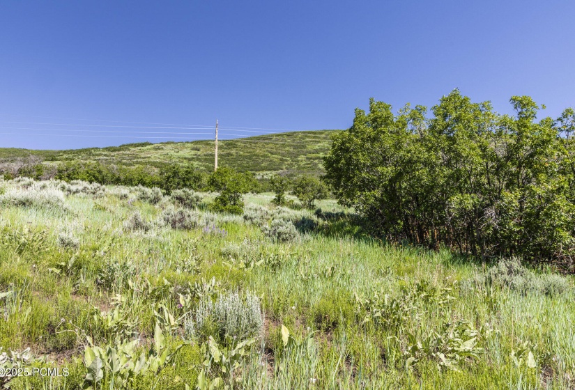 008_08-926supland-08_157