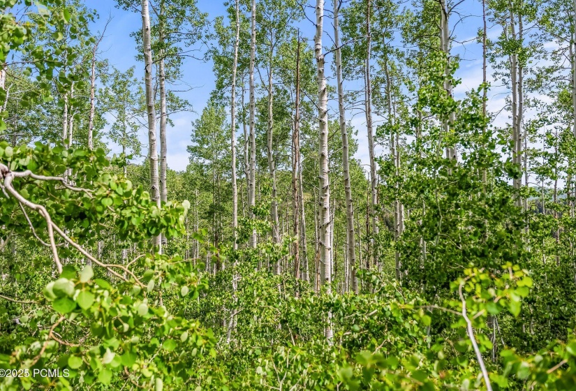 2195 s aspen rdg, coalville, ut 84017, u