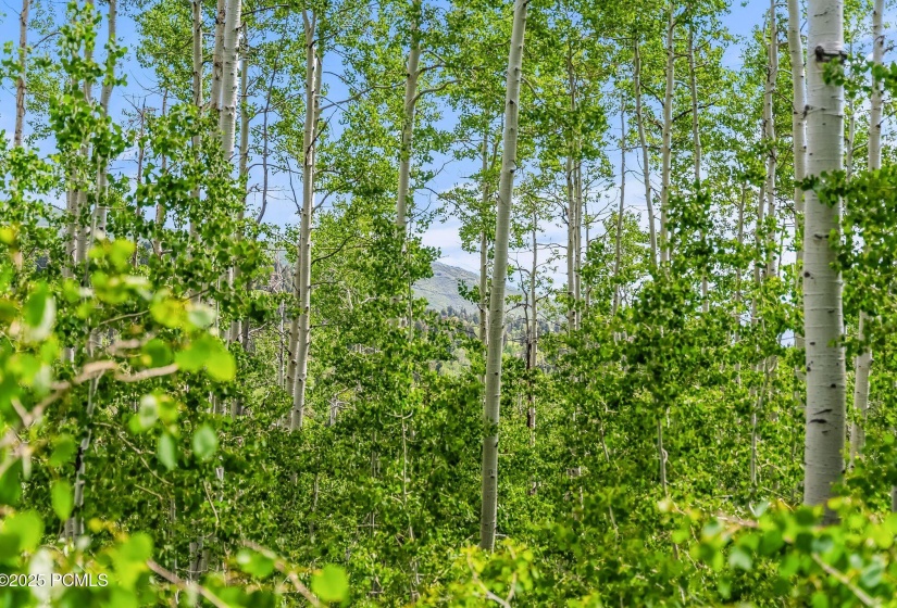 2195 s aspen rdg, coalville, ut 84017, u