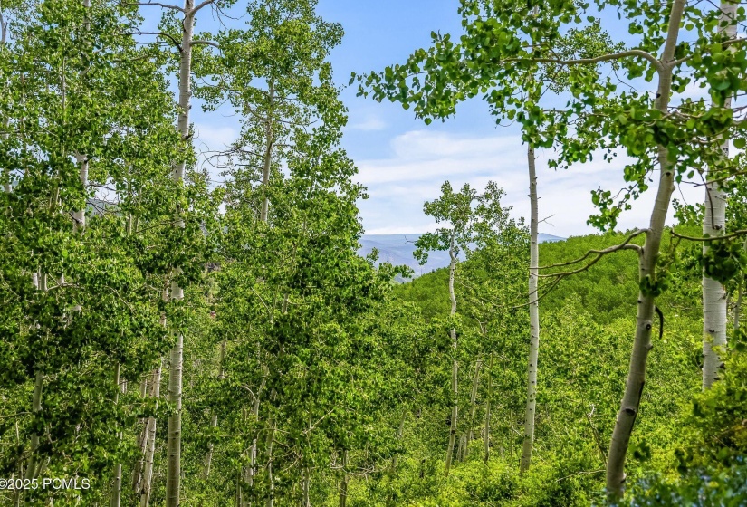 2195 s aspen rdg, coalville, ut 84017, u