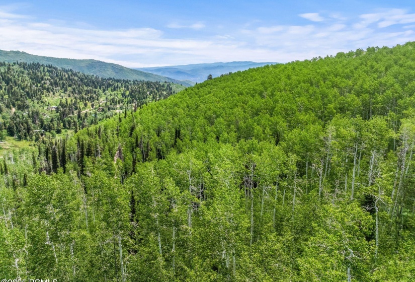 2195 s aspen rdg, coalville, ut 84017, u