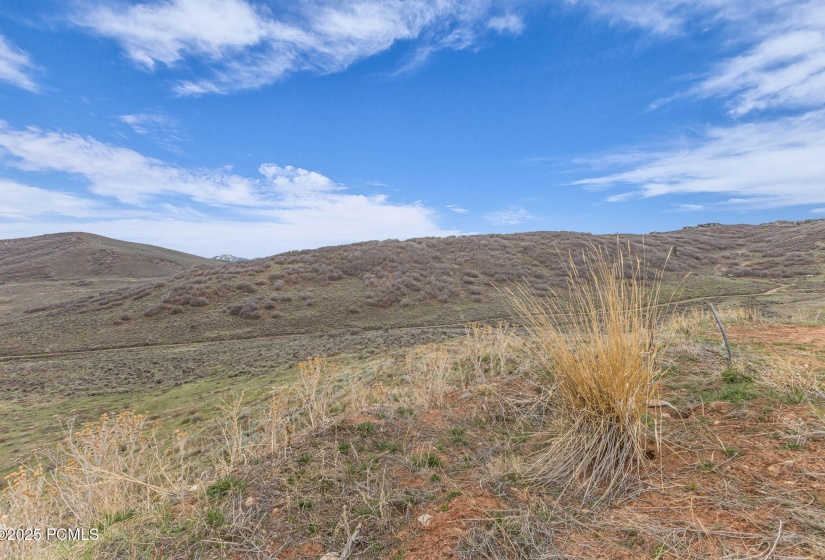 3-web-or-mls-230-e-parkview-rd
