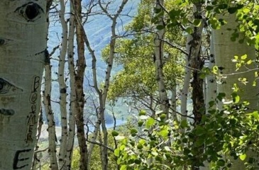 Tax Id 0000133921, Daniel, Utah 84032, ,Land,For Sale,Tax Id 0000133921,12501650