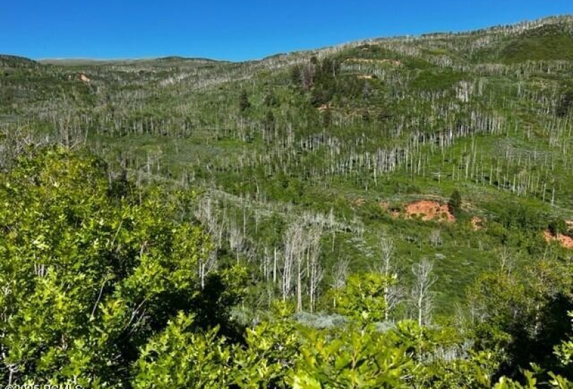 View of Land