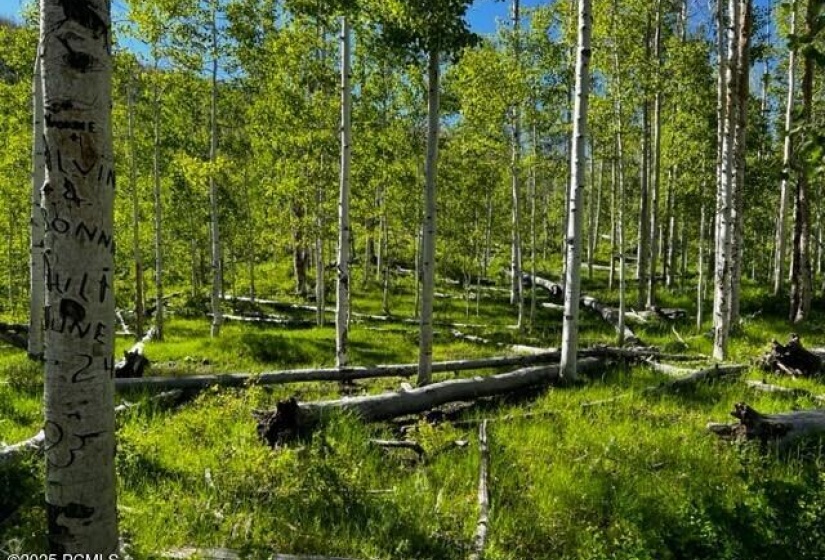 View of Land