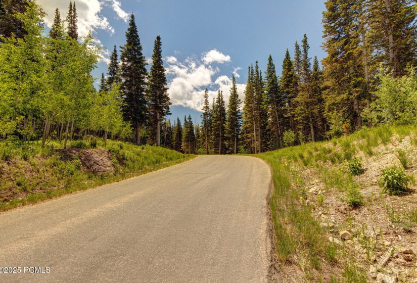 019_19-208_white_pine_canyon-19_370