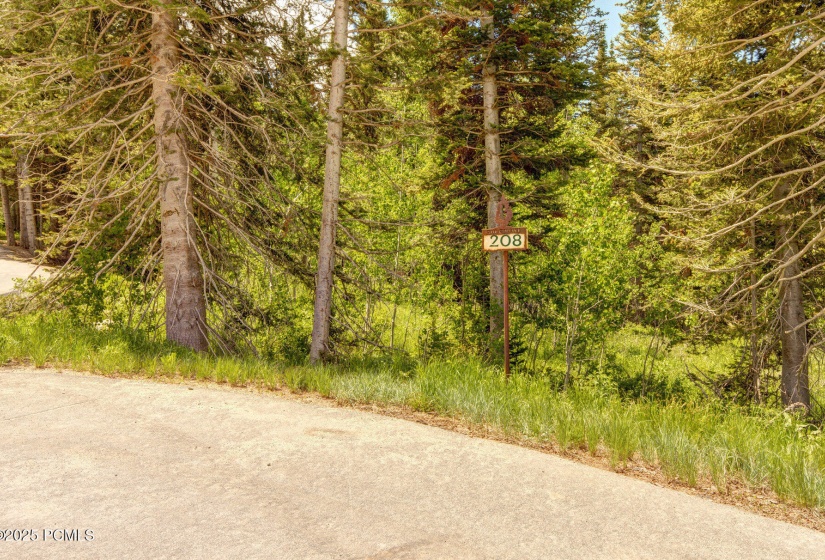 022_22-208_white_pine_canyon-22_859