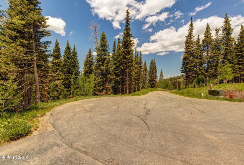 026_26-208_white_pine_canyon-26_733