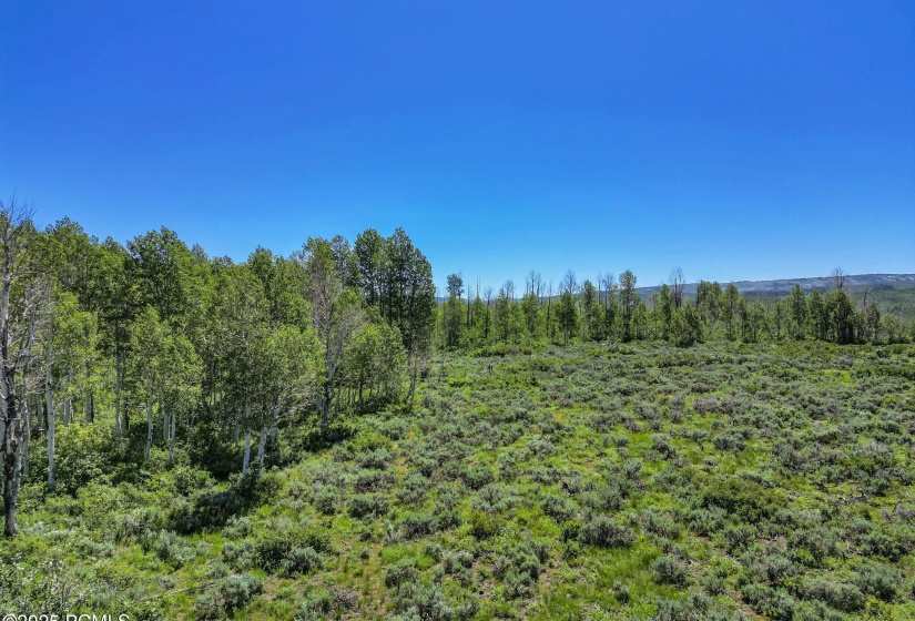 10-web-or-mls-2980-n-wolf-creek-ranch-rd