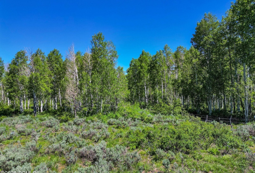 11-web-or-mls-2980-n-wolf-creek-ranch-rd