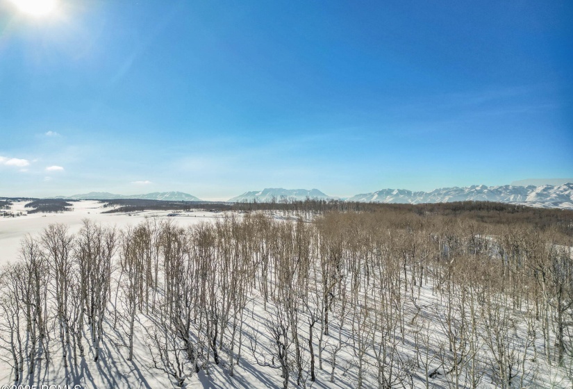 16-web-or-mls-2980-n-wolf-creek-ranch-rd