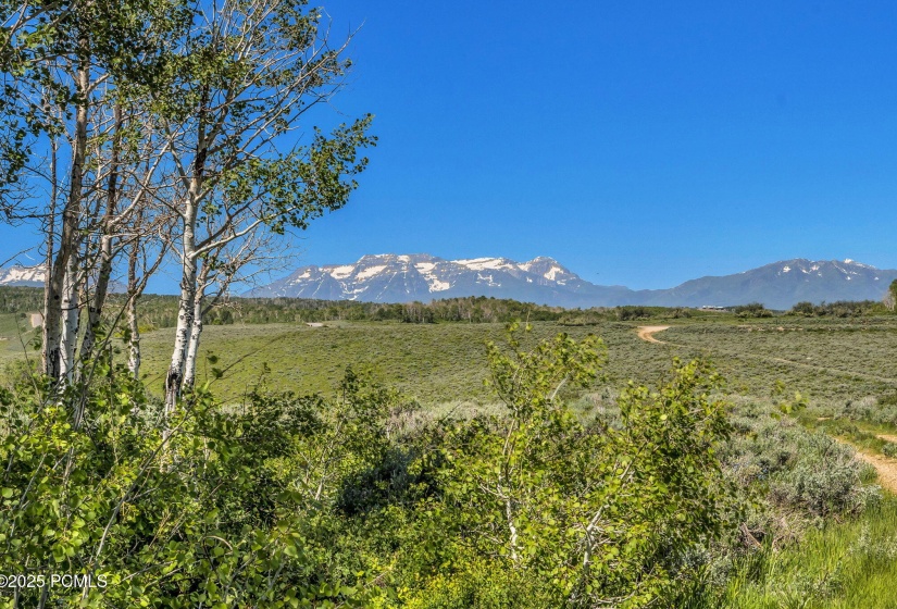 1-web-or-mls-2980-n-wolf-creek-ranch-rd-