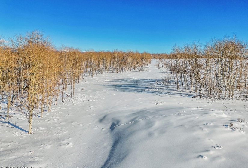 20-web-or-mls-2980-n-wolf-creek-ranch-rd