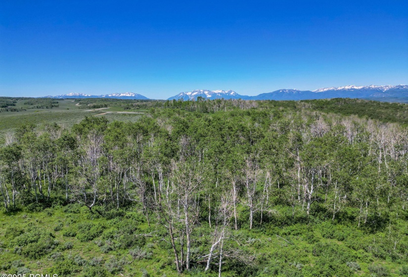 6-web-or-mls-2980-n-wolf-creek-ranch-rd-